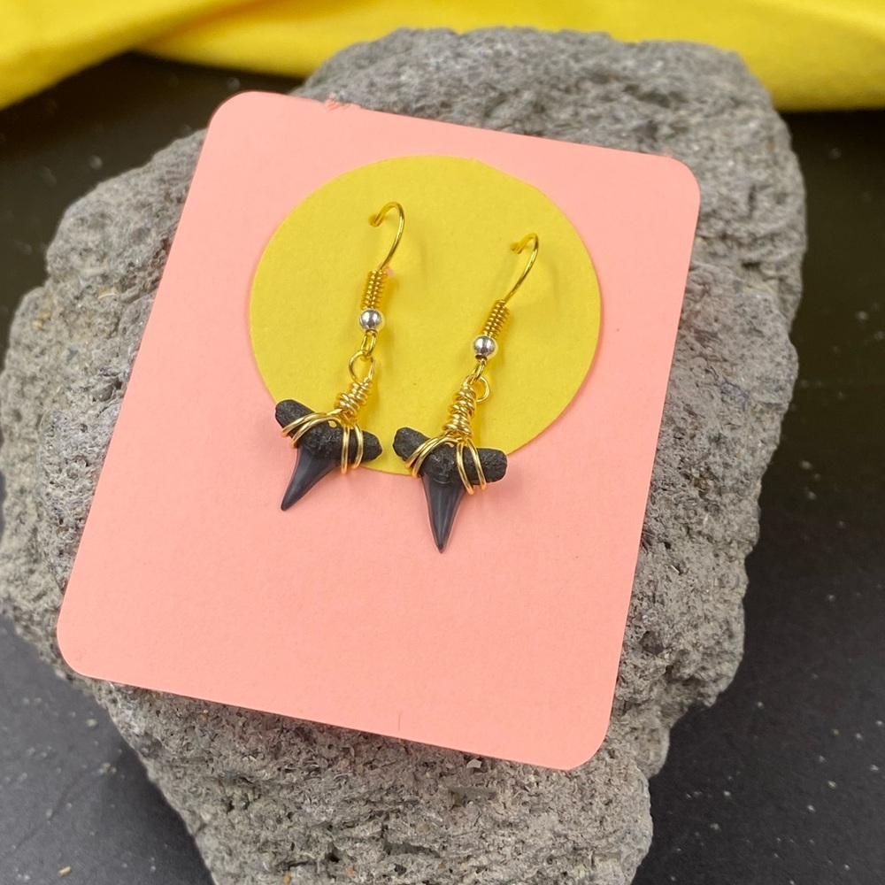 Shark Tooth Earrings